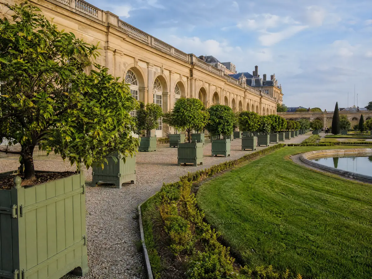 The Orangerie parterre with orange trees standing in wooden boxes